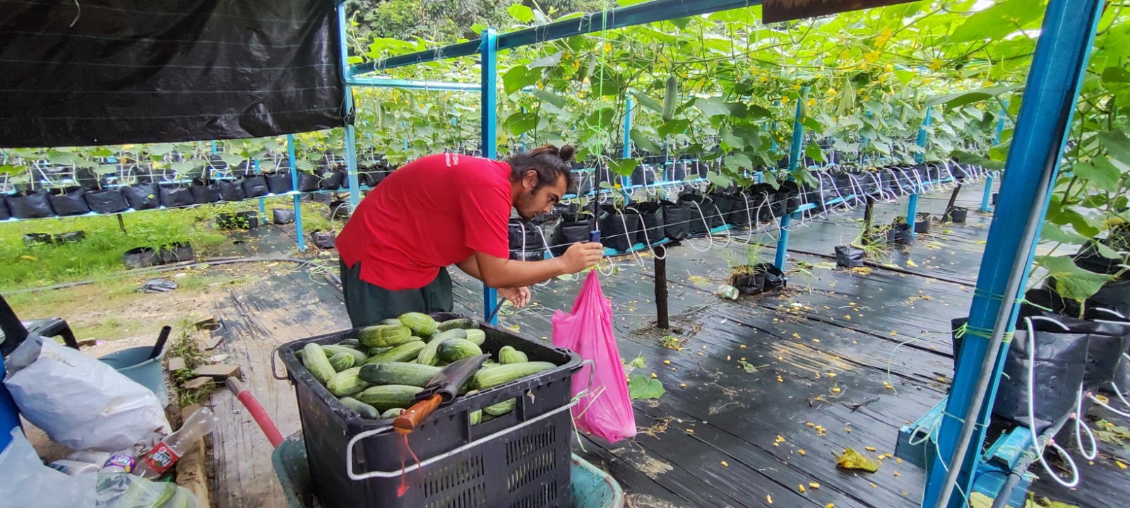 LAWATAN PEMANTAUAN PESERTA FERTIGASI UMPSA-TERAJU PROJEK IOT BASED SMART FARMING SYSTEM