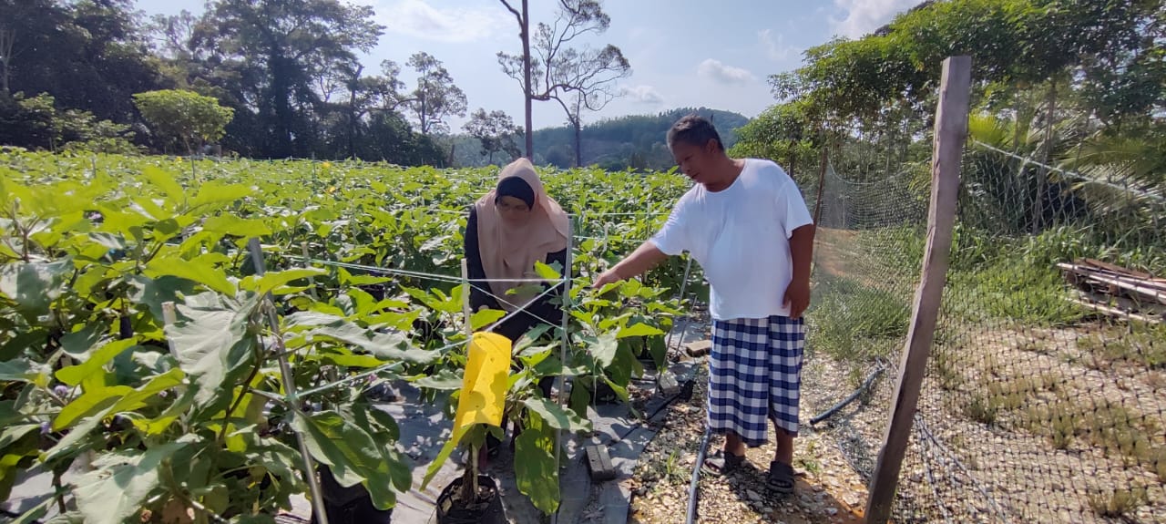 LAWATAN PEMANTAUAN BULANAN PESERTA PROJEK FERTIGASI