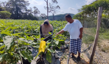 LAWATAN PEMANTAUAN BULANAN PESERTA PROJEK FERTIGASI